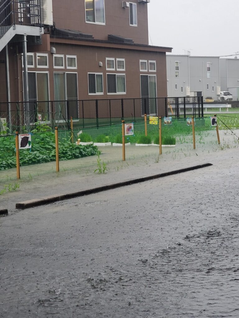 太宰府市に大雨洪水警報発令の日