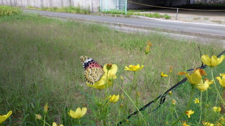 秋の風を感じて・・・